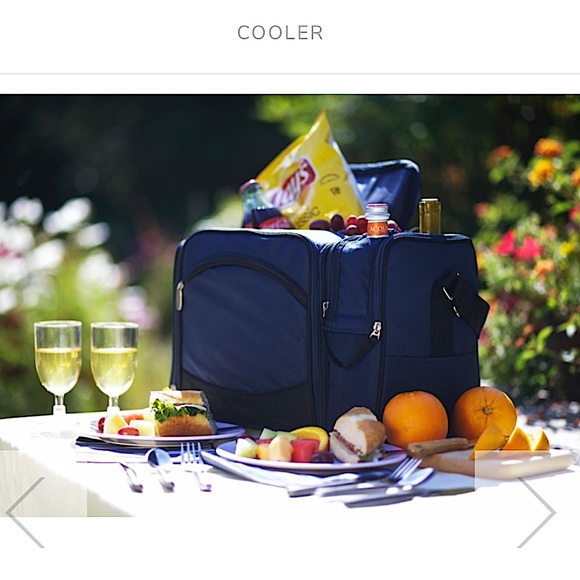 🌸💦 🧺 WaterProof Picnic Time Malibu Insulated Picnic Cooler 🧺💦🌸 - Picture 15 of 16